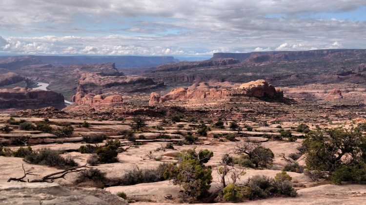 brian-roe-img_20160430_192427