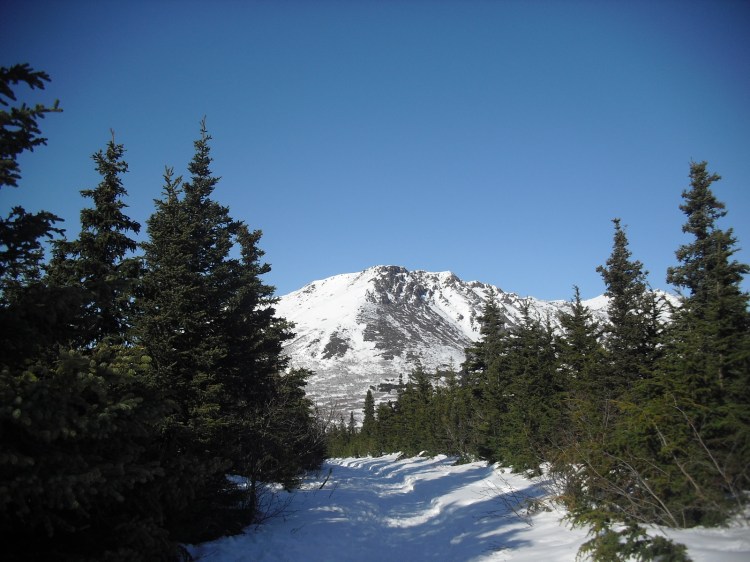 headlampwinterrunning